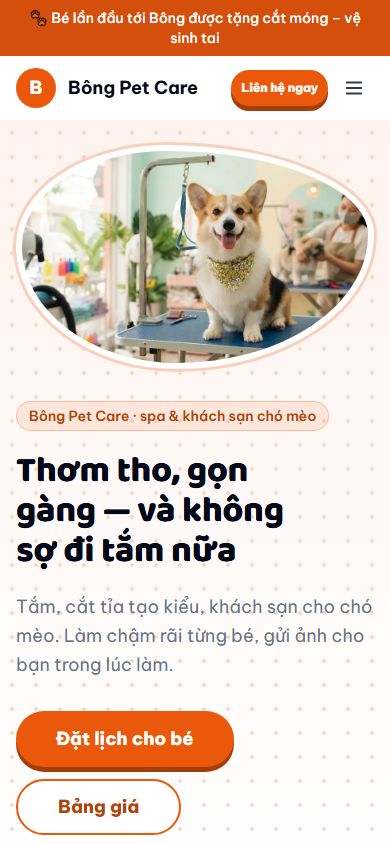 Mẫu Bông trên điện thoại