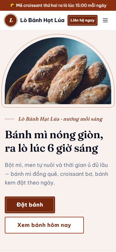Mẫu Hạt Lúa trên điện thoại